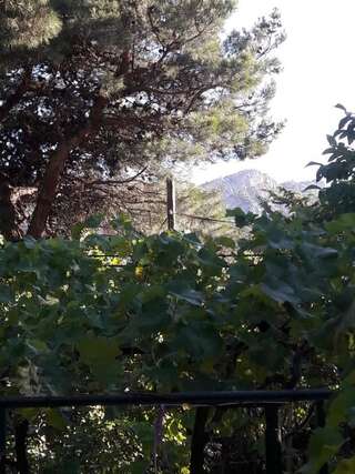 Шале Hotel Cottage Мцхета Шале с одной спальней-48