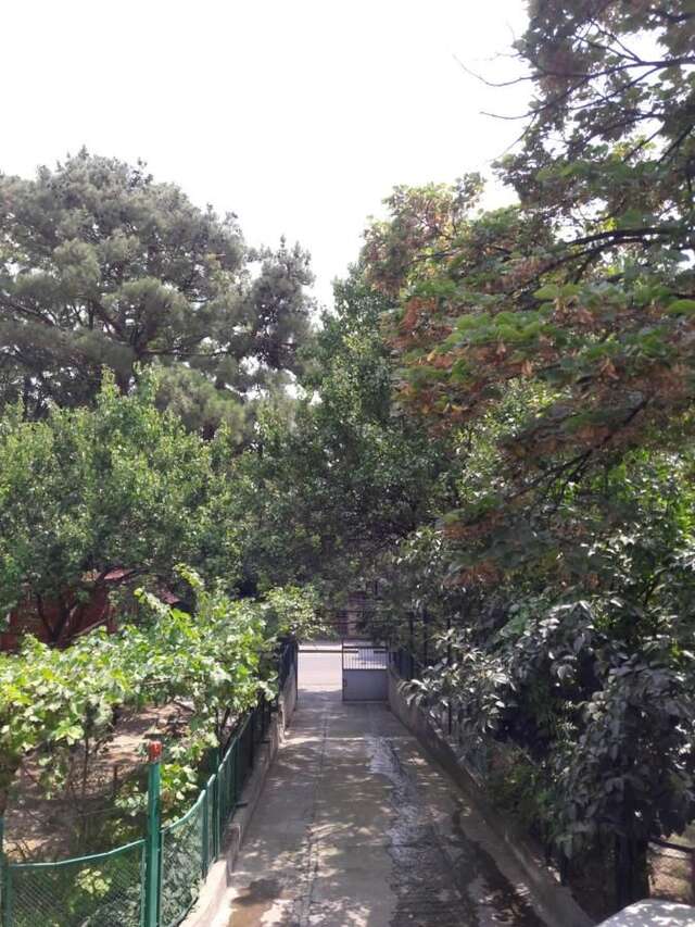 Шале Hotel Cottage Мцхета-16