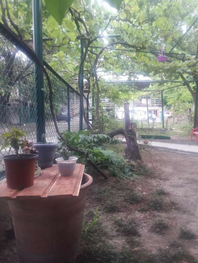 Шале Hotel Cottage Мцхета-22