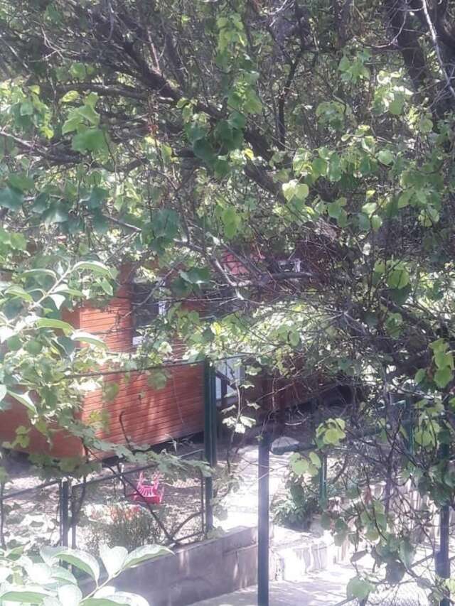 Шале Hotel Cottage Мцхета-52